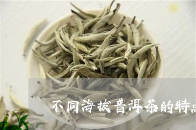 不同海拔普洱茶的特点/2023080254058