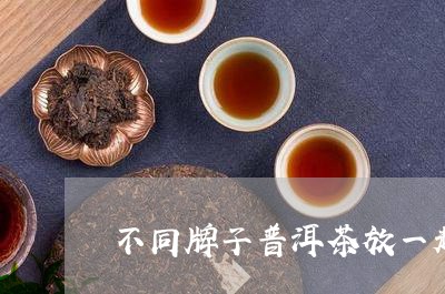 不同牌子普洱茶放一起/2023092926047