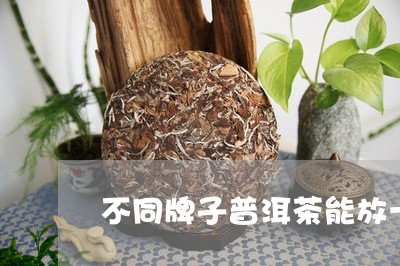 不同牌子普洱茶能放一起吗/2023051055270