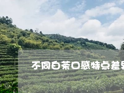 不同白茶口感特点差异/2023092650783