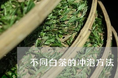 不同白茶的冲泡方法/2023073064945