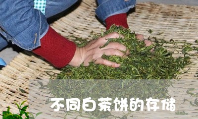 不同白茶饼的存储/2023061471716