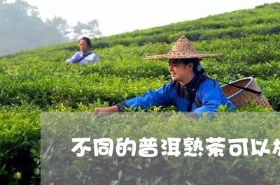 不同的普洱熟茶可以放一起吗/2023052729373