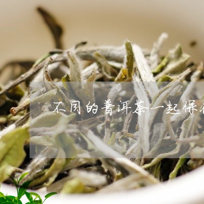 不同的普洱茶一起保存/2023062955058