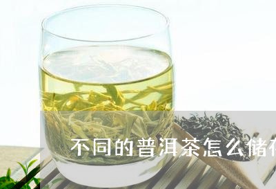 不同的普洱茶怎么储存/2023062577381