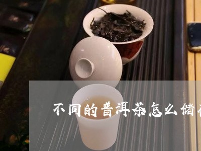 不同的普洱茶怎么储存/2023080126060