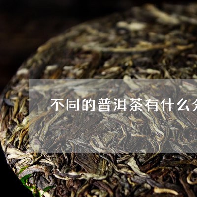 不同的普洱茶有什么分别/2023110137161