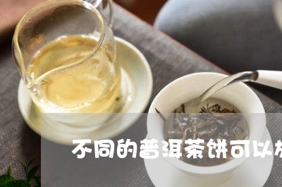 不同的普洱茶饼可以放在一起保存/2023102561693