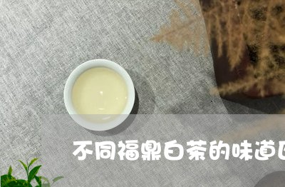 不同福鼎白茶的味道区别/2023092109462