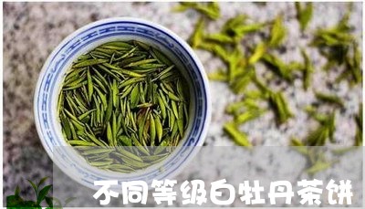 不同等级白牡丹茶饼/2023120623815