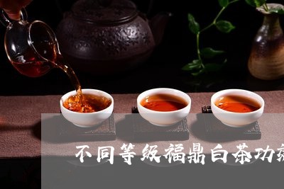 不同等级福鼎白茶功效/2023120778481