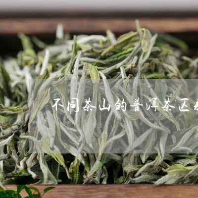 不同茶山的普洱茶区别/2023082840482