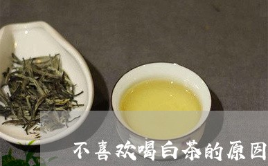 不喜欢喝白茶的原因/2023071491946