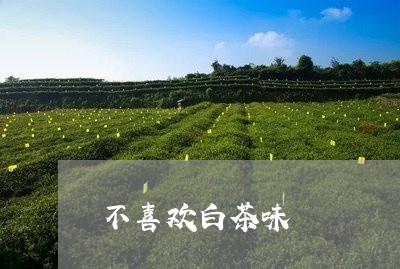 不喜欢白茶味/2023051203928