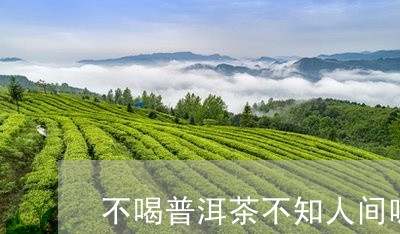 不喝普洱茶不知人间味/2023103191503