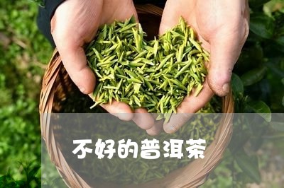 不好的普洱茶/2023042903577