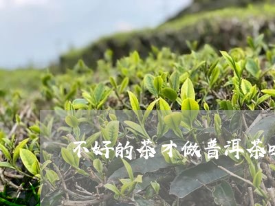 不好的茶才做普洱茶吗/2023062343914