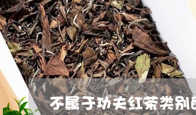 不属于功夫红茶类别的茶叶是/2023052762924