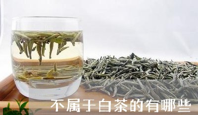 不属于白茶的有哪些/2023121574815