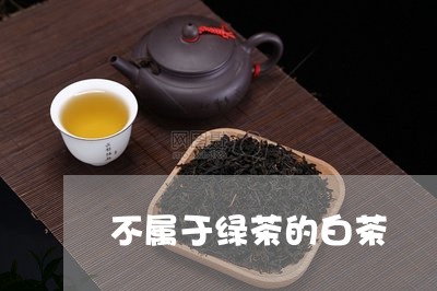 不属于绿茶的白茶/2023061441636