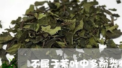 不属于茶叶中多酚类物质的是/2023052694826