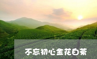 不忘初心金花白茶/2023061407049