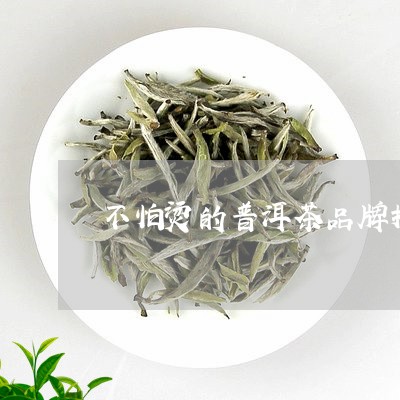 不怕烫的普洱茶品牌推荐/2023050683249