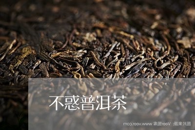 不惑普洱茶/2023090657492