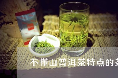 不懂山普洱茶特点的茶叶/2023120748140