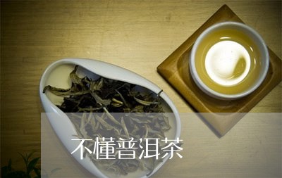 不懂普洱茶/2023090571528