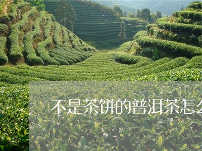 不是茶饼的普洱茶怎么泡/2023081492926