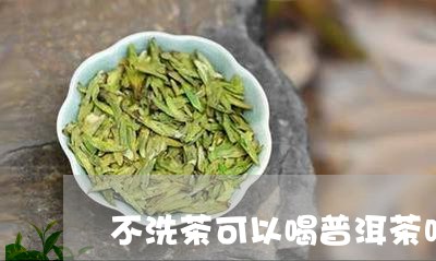 不洗茶可以喝普洱茶吗/2023080303834