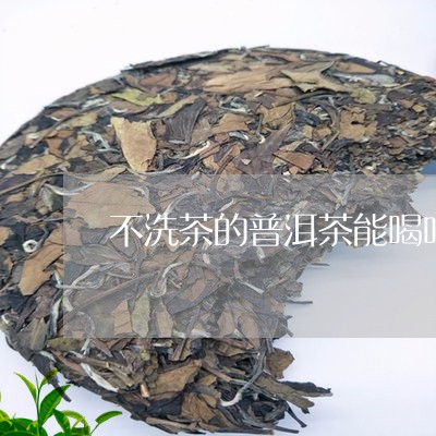 不洗茶的普洱茶能喝吗/2023062404716