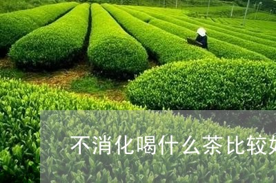 不消化喝什么茶比较好/2023060889483