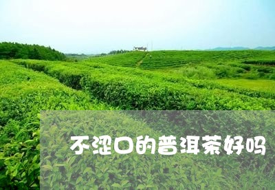 不涩口的普洱茶好吗/2023071094946