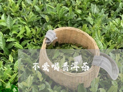 不爱喝普洱茶/2023042667556