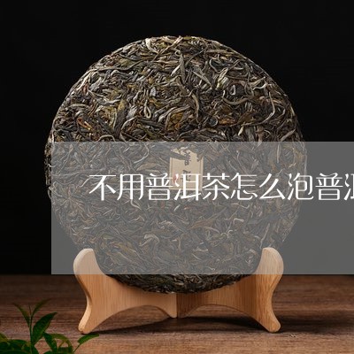 不用普洱茶怎么泡普洱/2023062828392