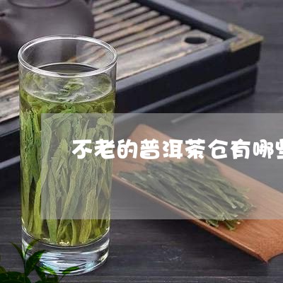 不老的普洱茶仓有哪些/2023112580405