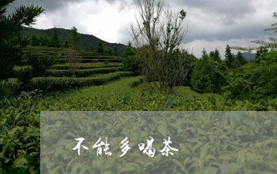 不能多喝茶/2023090206169