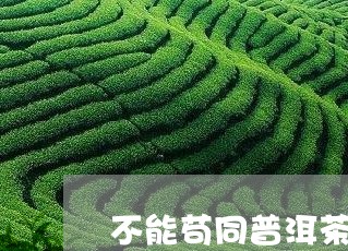 不能苟同普洱茶的人群/2023120754138