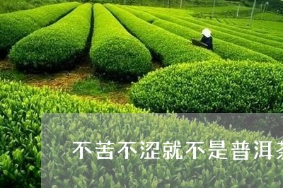 不苦不涩就不是普洱茶吧/2023050551593