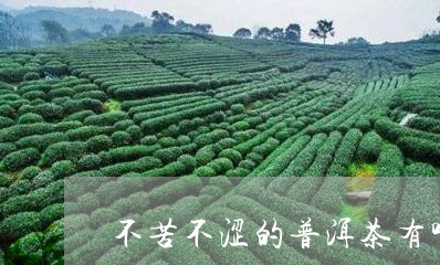 不苦不涩的普洱茶有哪几种/2023082843704