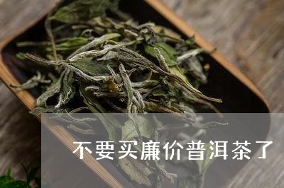 不要买廉价普洱茶了/2023120533817