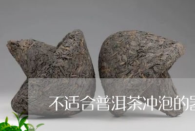 不适合普洱茶冲泡的器具/2023082536947