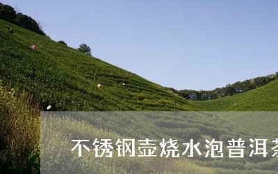 不锈钢壶烧水泡普洱茶/2023072254046