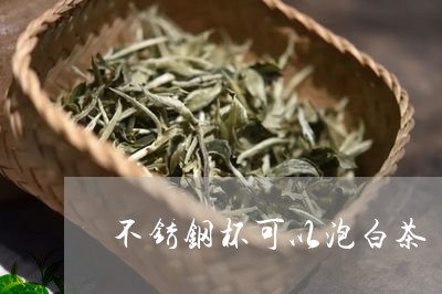 不锈钢杯可以泡白茶/2023121647360