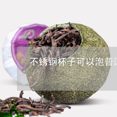 不锈钢杯子可以泡普洱茶嘛/2023112815957