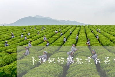 不锈钢的锅能煮白茶吗/2023092661797