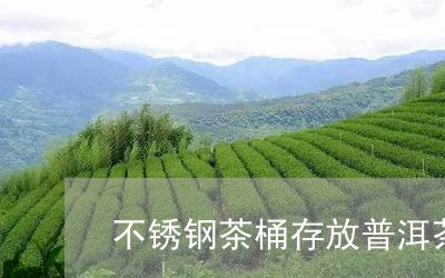 不锈钢茶桶存放普洱茶/2023062406838