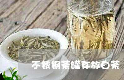 不锈钢茶罐存放白茶/2023071403836